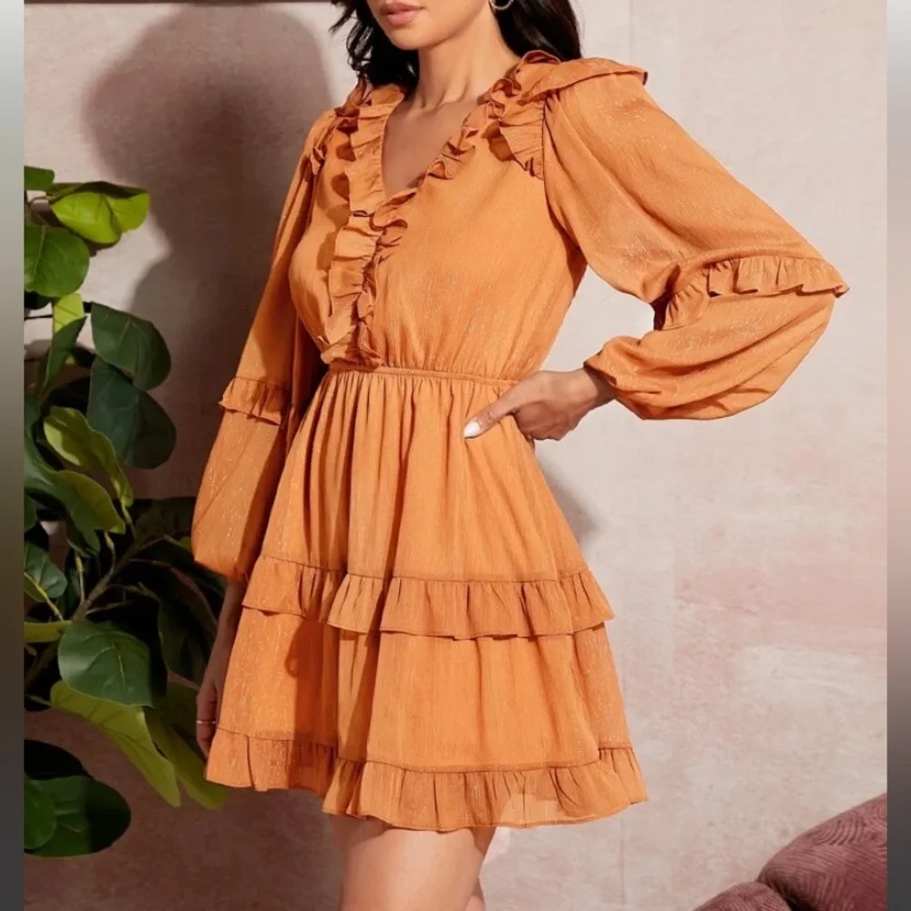 Shimmery Orange Dress - Picture 4 of 5